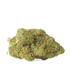 Rainbow Punch | Hydro | 20% wzmocnienia MCP