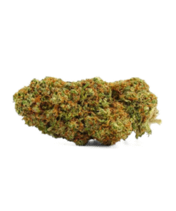 Niebieski Magic Hydro GMP 25% MCP-N