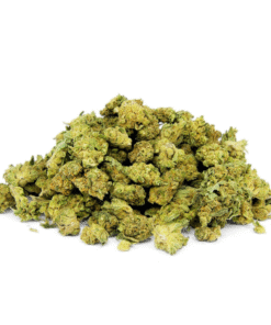 Baby Tonic Bud | Do wnętrz | 15% MCP-N